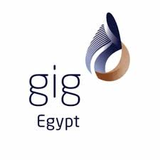 GIG Insurance Egypt
